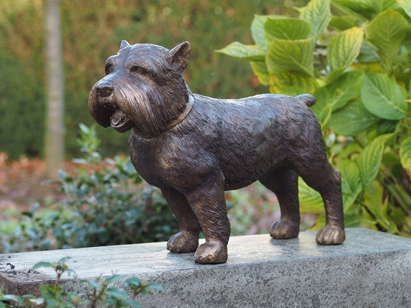 Bronzen beeld hond - Schnauzer - GardenArts